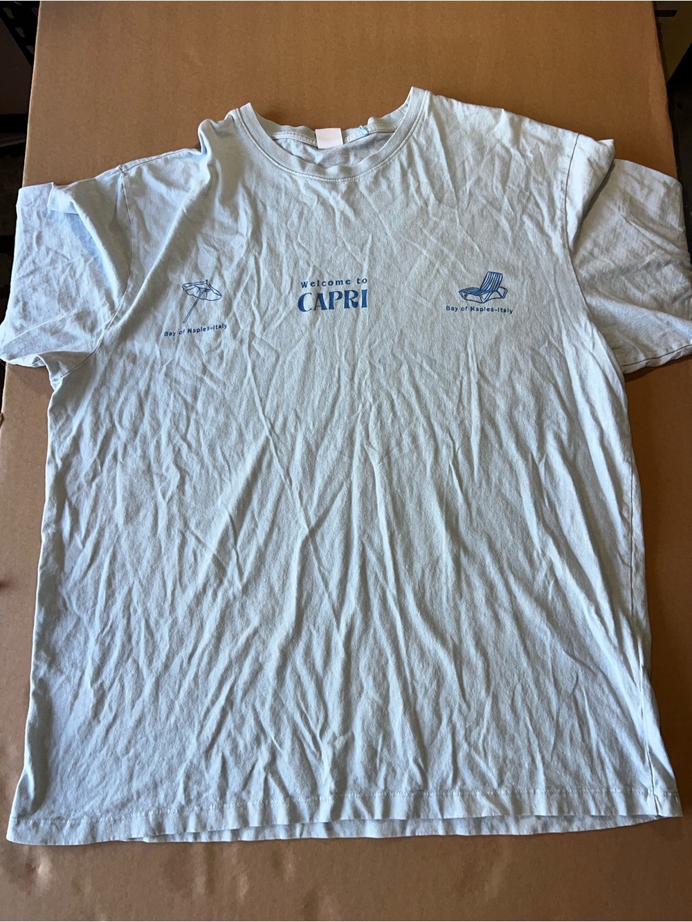 Bershka Light Blue Capri Graphic Tee